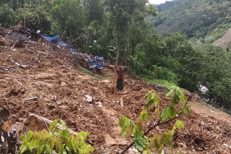 Javadekar seeks report on illegal felling of rosewood trees in Kerala