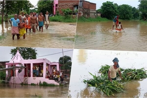 Bihar Flood: Jawainiya village of Bhojpur submerged in Ganga! Many houses merged in the Ganga River; people forced to live on dams