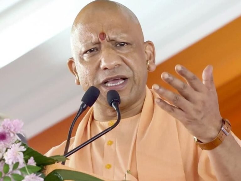 cm_yogi_1767443041267_1767443041433