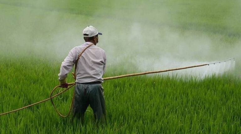 fertilizer-1