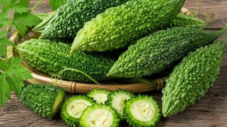 karela_1778912957