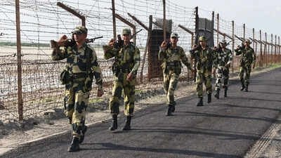 bsf-news