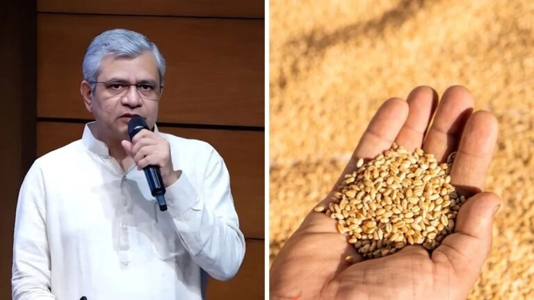 wheat-msp-1790762921